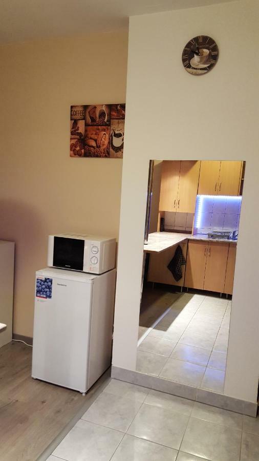 בודפשט Liget Apartment, Terrace, Free Parking, Ac מראה חיצוני תמונה