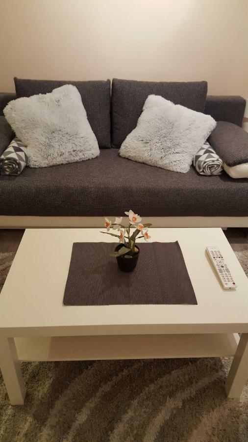 בודפשט Liget Apartment, Terrace, Free Parking, Ac מראה חיצוני תמונה